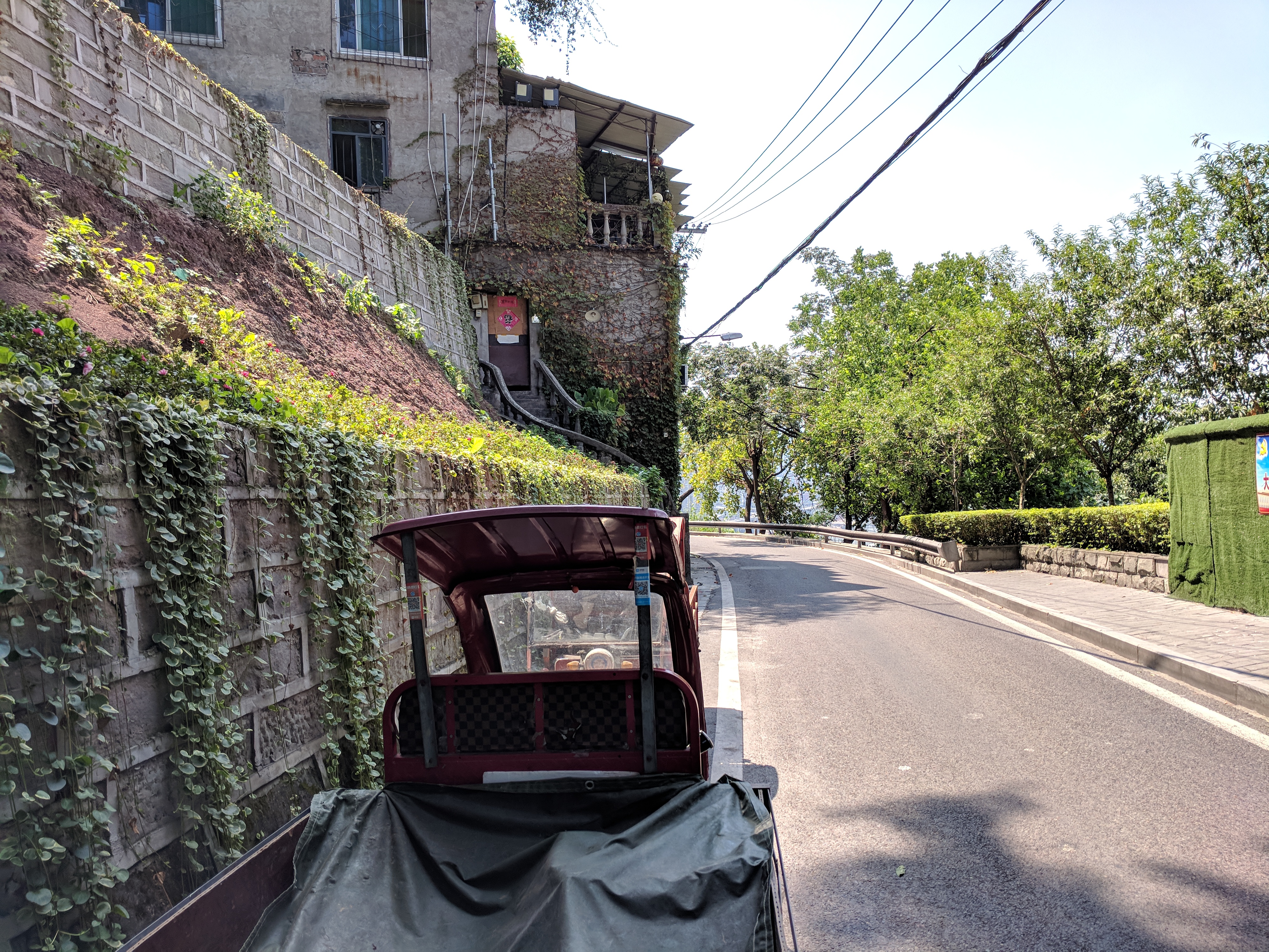 A small car on the side of an empty road, green leaves everywhere, the harsh sun beating down